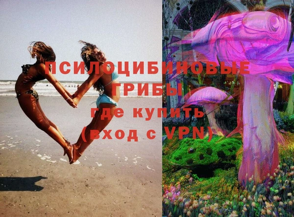 индика Киреевск