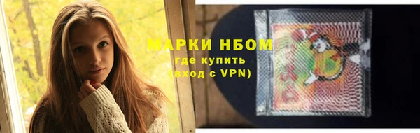 спиды Каменногорск