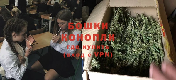спиды Каменногорск