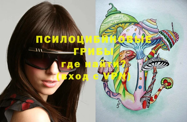 спиды Каменногорск