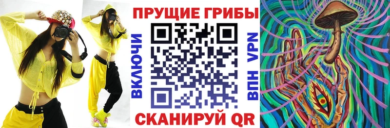 Галлюциногенные грибы ЛСД  Яхрома 